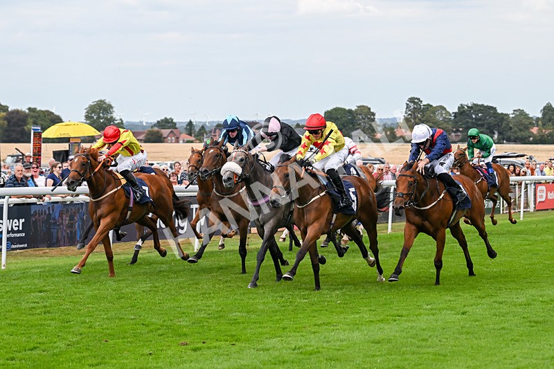 140825-Race 3-Rum Therapy-1039 - Race 3