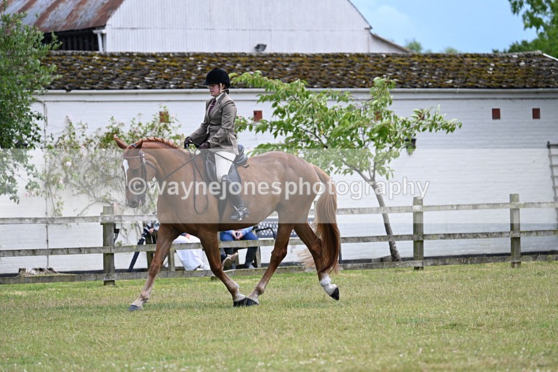 WJ7_9355 - Class 8 Ridden Veterans