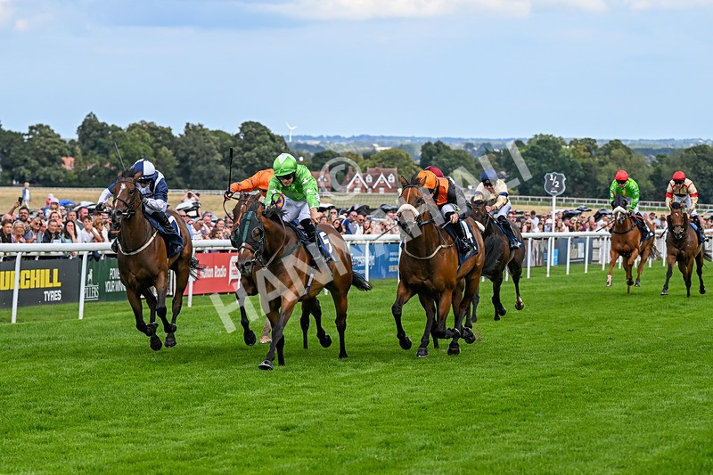 300826-Race 2-Jm Jungle-9661 - Race 2 2.15pm William Hill Beverley Bullet Sprint Stakes