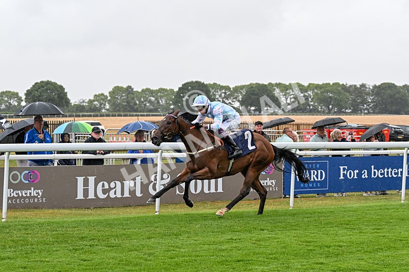 150725-Race 2-Pearl Fortune-0191 - Race 2