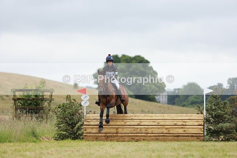 240630X-111418-5851 - 353-Hani_Milstein-COCCINELLE