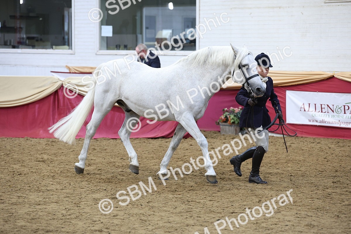 SBM_23649 - class 906 - Supreme Final - Ridden Pre Vet