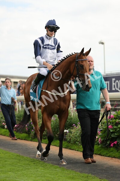 yr04092022r7-15 - Race 7 5.15pm Firmament Stakes