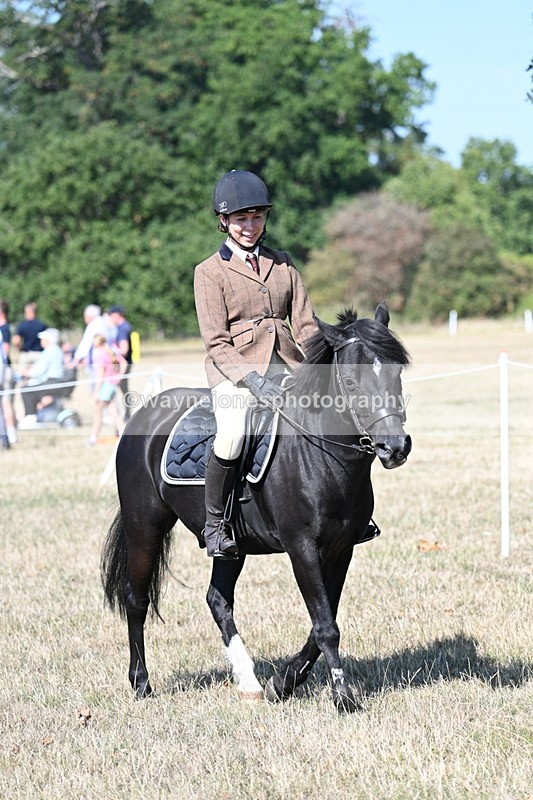WJ7_3537 - Class 9 Mountain & Moorland Ridden
