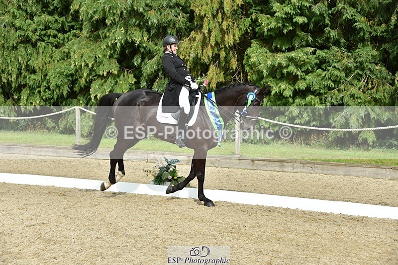 230812-160322-05338 - FEI PSG Bronze Presentations