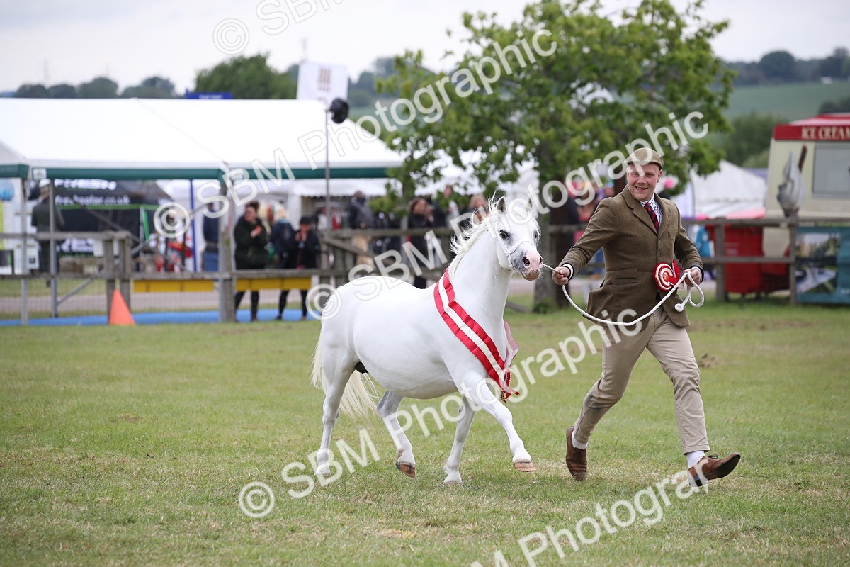 SBM_09904 - Ch 50 - Price Family Supreme In Hand