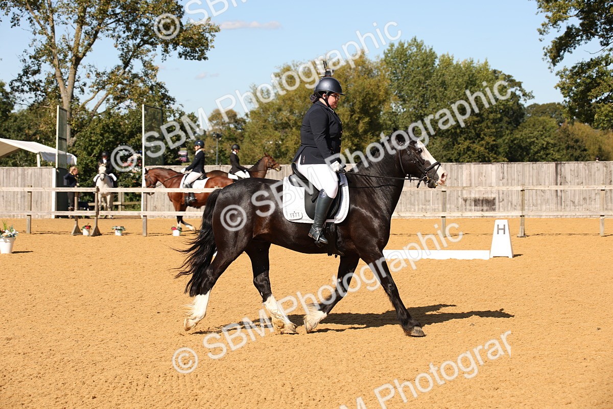 SBM_24229 - D5 - Small Tour Championship - Intro C