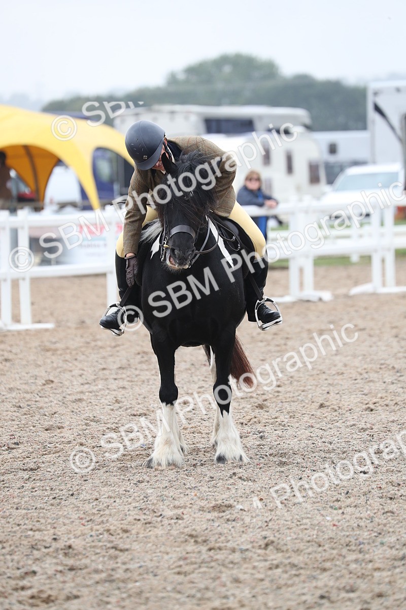 SBM_22029 - Class 603 - 2025 Area Ridden Pre Vet