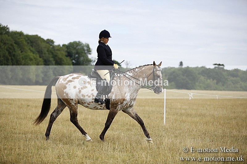 _C7A9461 - BVRC Show 2018 Ring 1