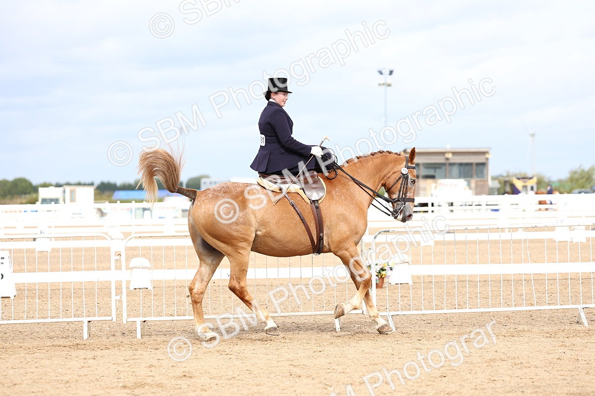 SBM_03416 - Class 24 - SSA Concours d'elegance (any age)