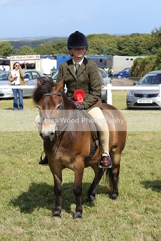 1X9A5637 - Class 39: NPS Dartmoor, Exmoor, Shetland