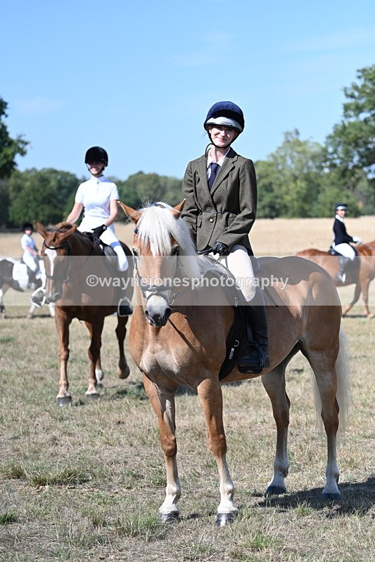 WJ7_1262 - Class 41 Prettiest Mare