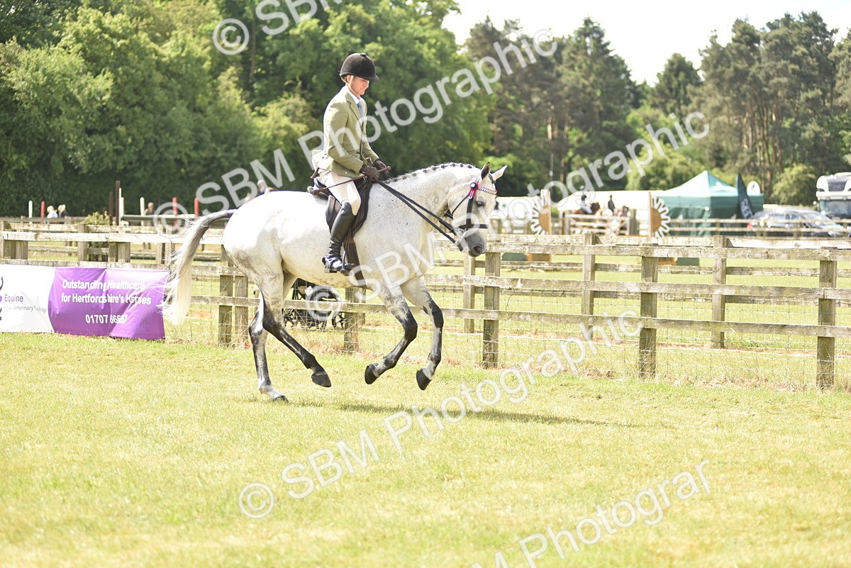 SBM_15074 - Class 113-114 - Retraining of Racehorses Ridden