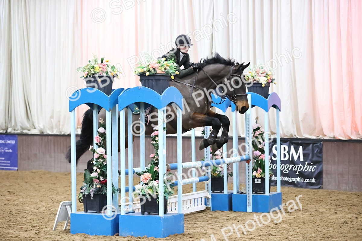 SBM_002011 - Class 8 - Senior British Novice - 90cm