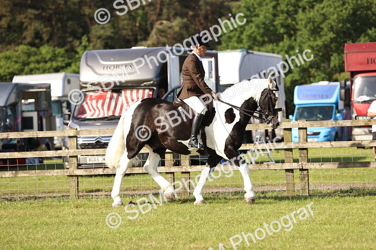 SBM_12290 - Class 73-74 - LIHS BSHA Open Style & Performance