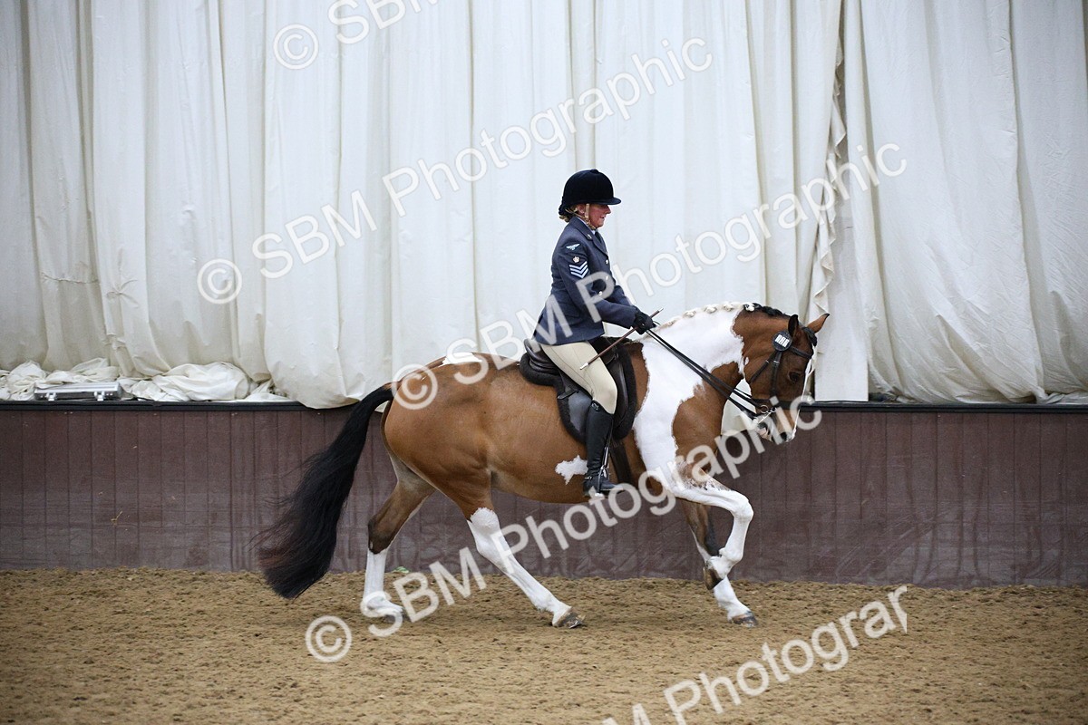 5K7A6077 - Class 48 - Ridden Mare