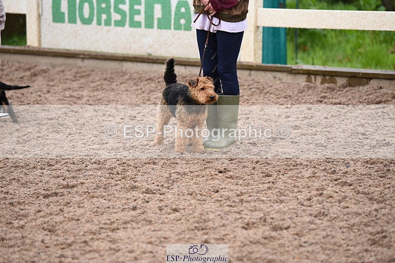 240518A-133808-01333 - Cls 9 Best in Show