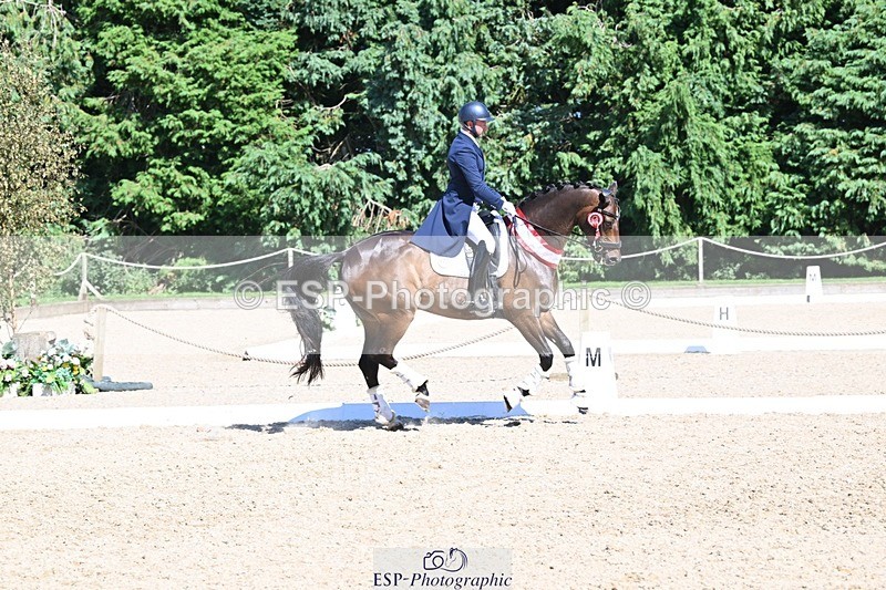 240811-154522-06832 - Inter I Silver