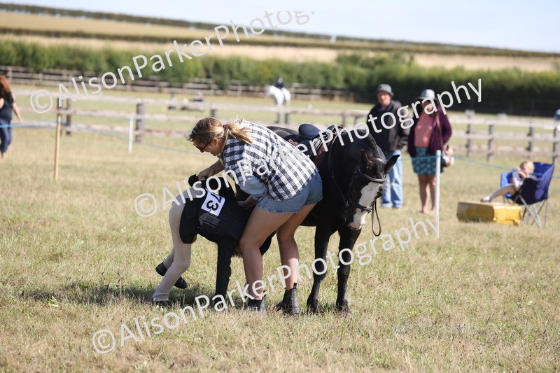 20260906-2209 - Class 16 - Family Pony
