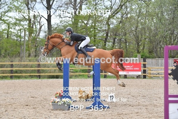 BPP_3637 - CLASS 19 SUN Senior 1.15m Open