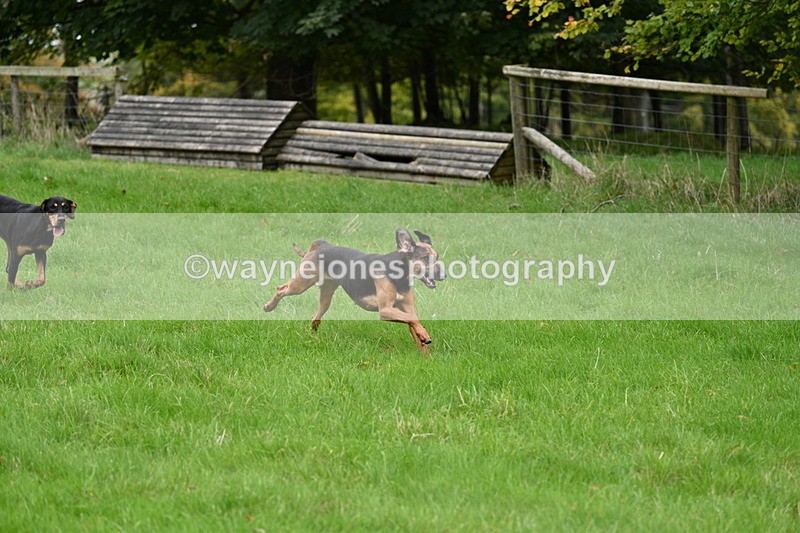 WJ7_4375 - Camera 1 Line 3