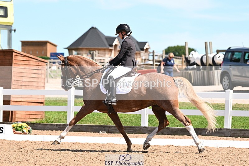 240816A-131554-05007 - 113-Ruby.Gumbley-Nova's.Golden.Dream