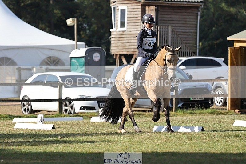 250823A-095117-26950 - Arena C