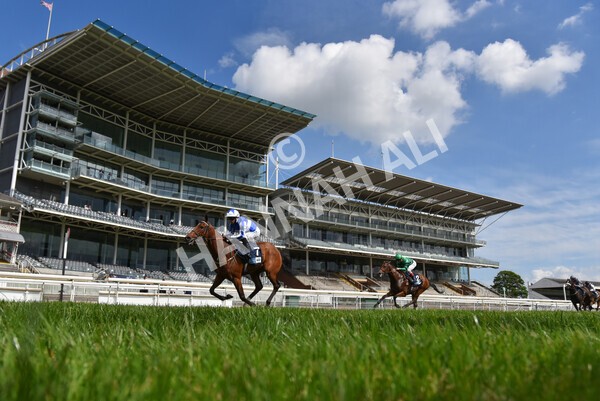 yr13052021r5-26 - Race 5 3.40pm British Stallion Studs EBF Westow Stakes