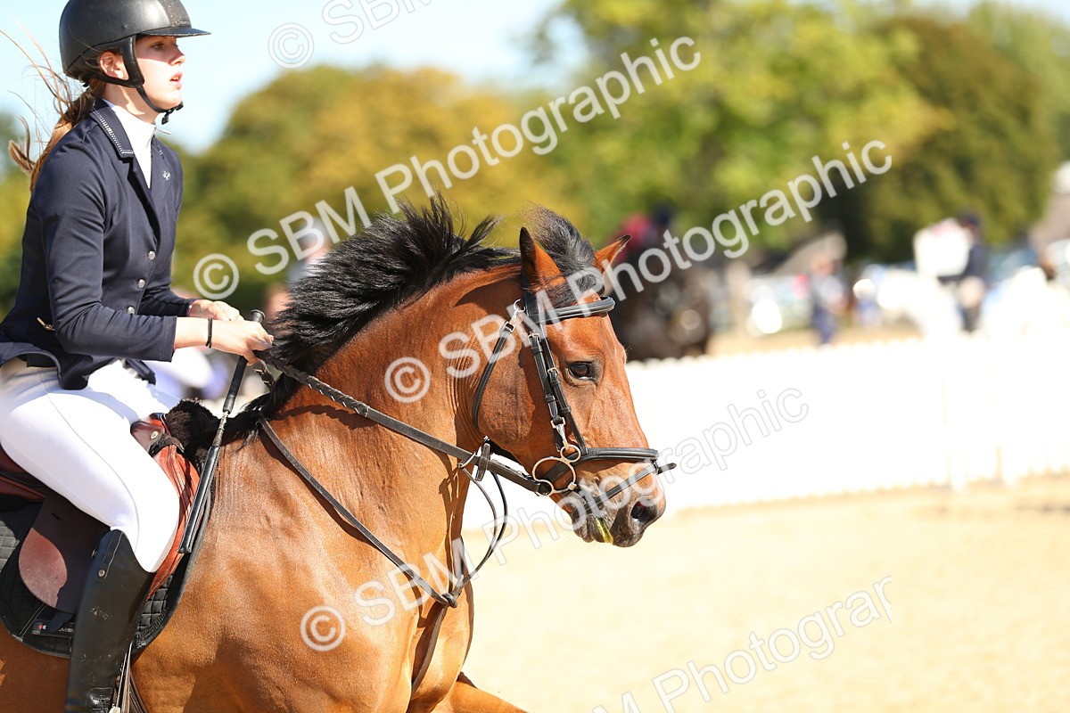 SBM_17771 - J33 - Senior 75cm Championship
