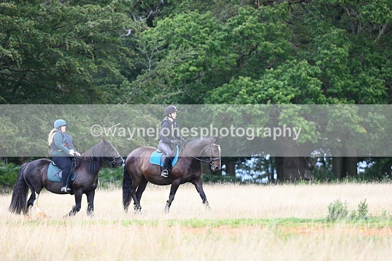 DSC_5116 - Time at Statue 11:10 to 11:42