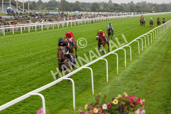 080924-Pony Race-4302 - Pony Race 1.00pm The Dragon (TV and Film) Studios Pony Race 148cm & Under