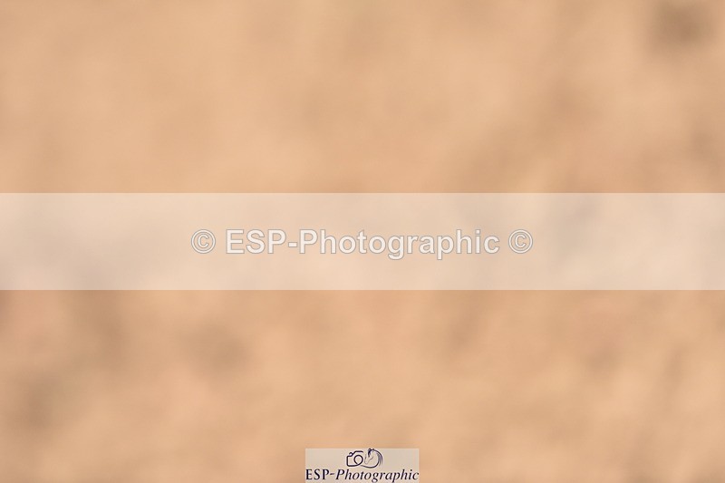 231011A-101024-00034 - Cls 1 British Novice & 90cm Open