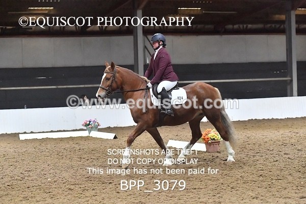 BPP_3079 - INTRO TEST 2