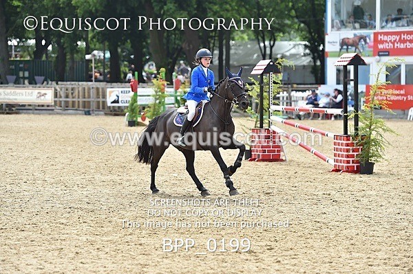 BPP_0199 - RHS 2019 Selection - *Just some random spectator shots so Lucky Dip if you are there!