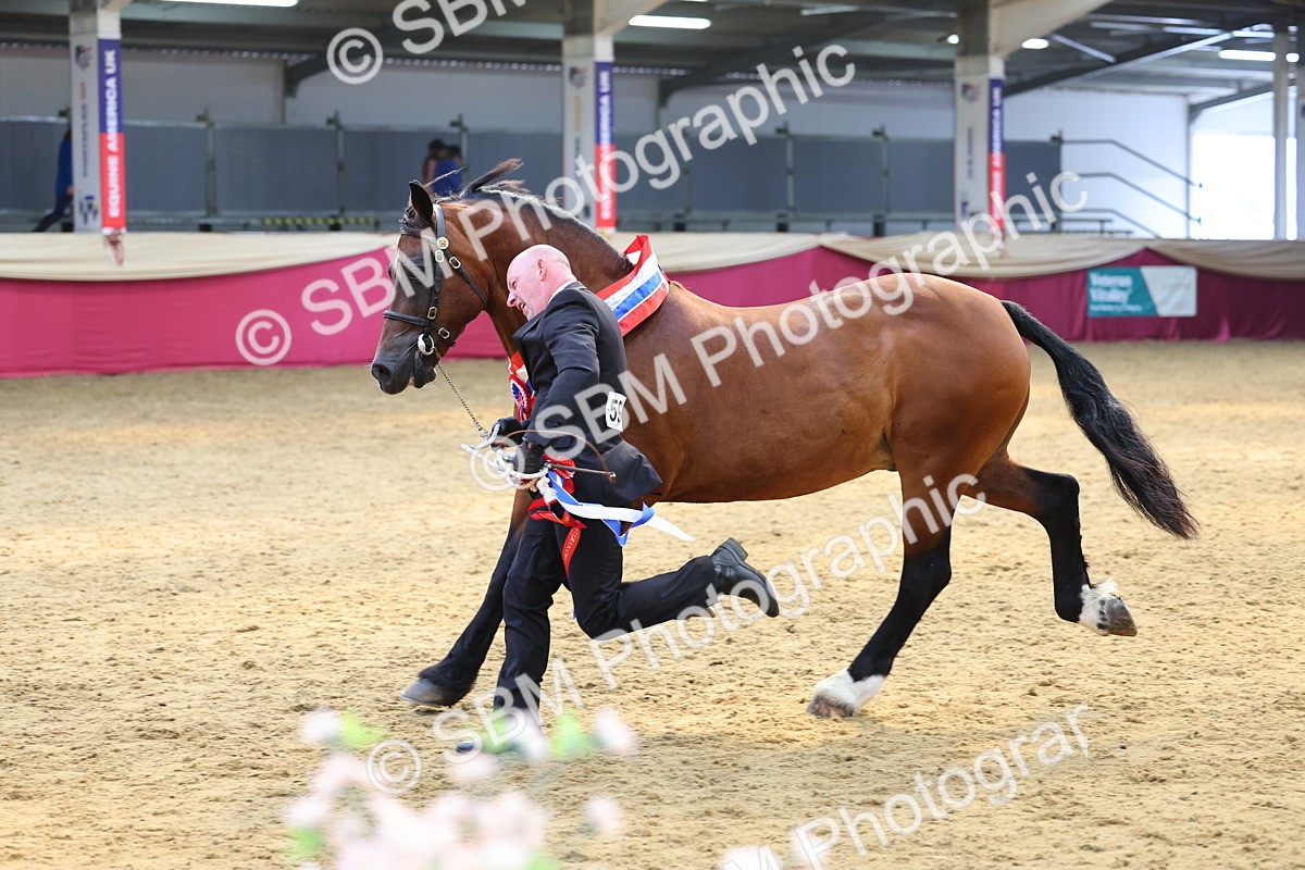 SBM_23274 - Supreme Final - IH Champion