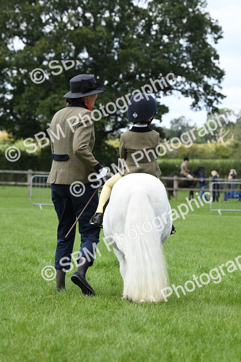 SBM_42557 - S20 - Lead Rein Mountain & Moorland Pony