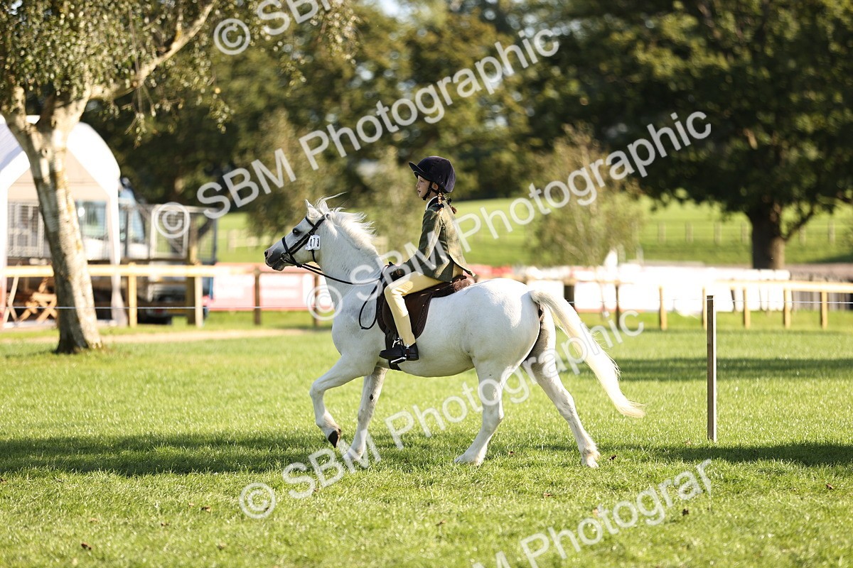 SBM_29408 - S7 - Novice & Newcomers Ridden Pony