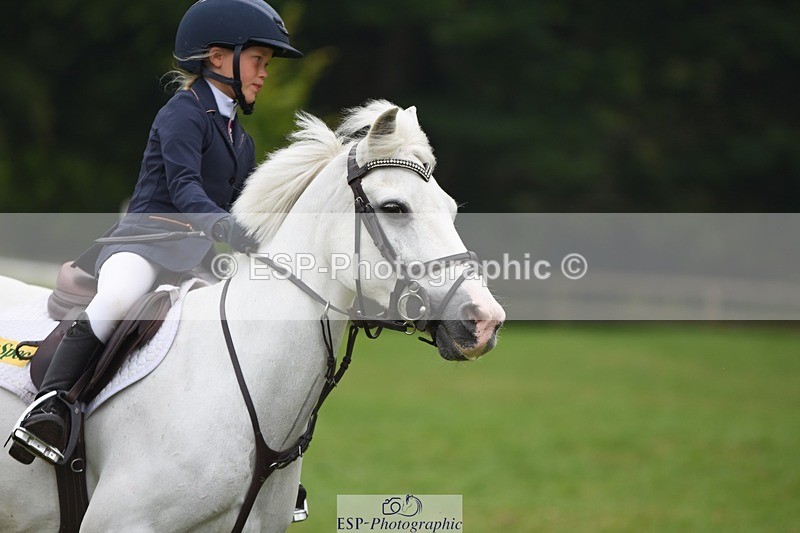 230618-104350-10505 - Cls 28 British Novice & 80cm Open