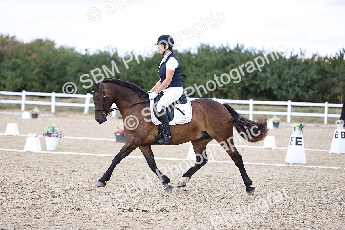 SBM_015338 - Class 5 - E5 Bronze 14.42.15.54