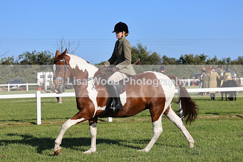 IMG_1247 - Class 27: Ridden Plaited Coloured Horse
