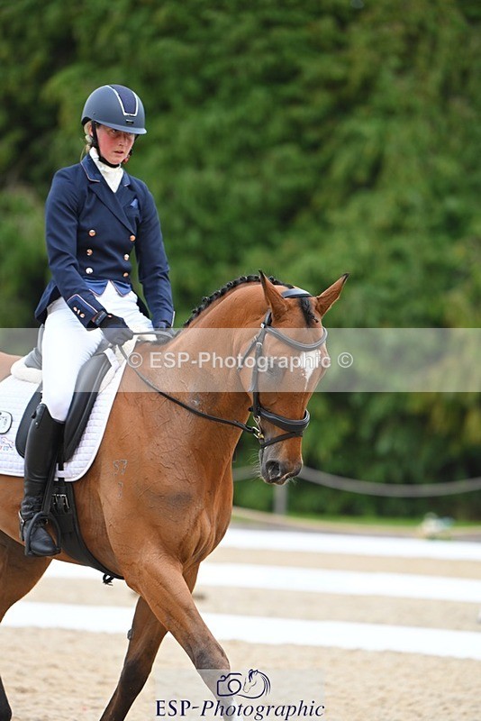 230813-132942-07586 - Cls 13 Medium Bronze 13.15 to End