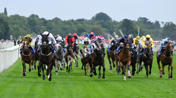 230825-114 Ethical Diamond - Race 4 3.35pm Sky Bet Ebor Handicap