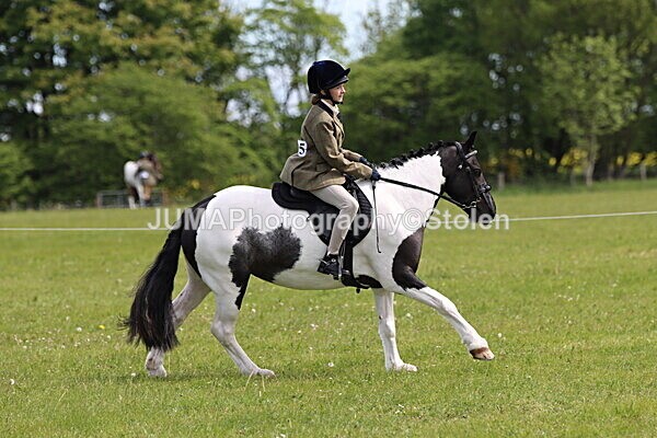 IMG_3369 - Working Hunter