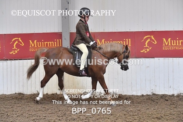 BPP_0765 - RING 2
