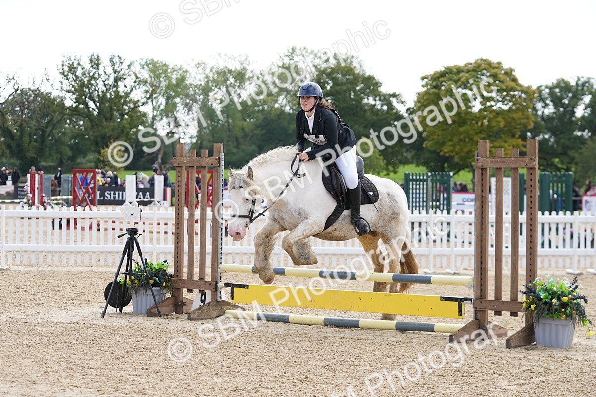SBM_44250 - J7 - Junior Pony 60cm Championship