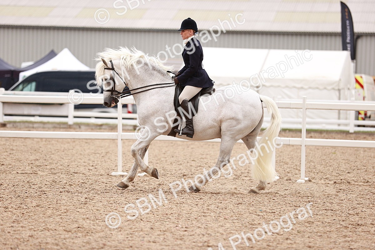 SBM_19008 - Class 422 - Ridden M&M