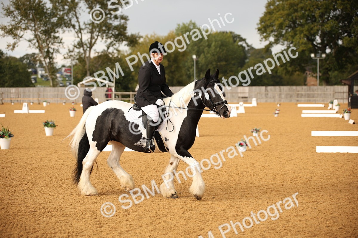 SBM_12380 - D3 Small  Tour Championship Intro A