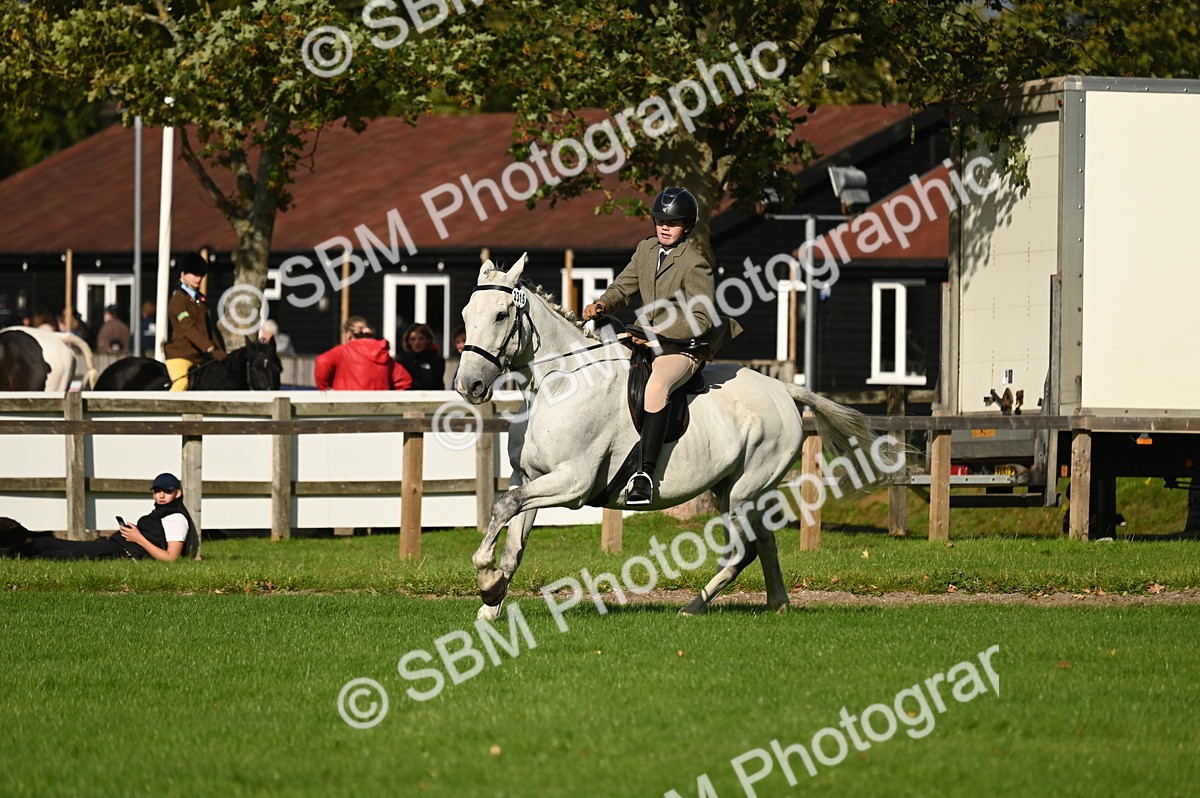 SBM_26440 - S6 - Novice & newcomer Ridden horse