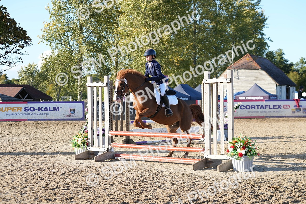 SBM_53856 - J8 - Junior Pony 65cm Championship