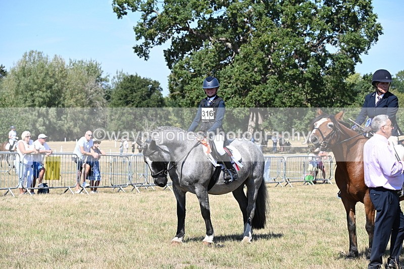 WJ6_8466 - Class 37a Best Loan Pony Ridden